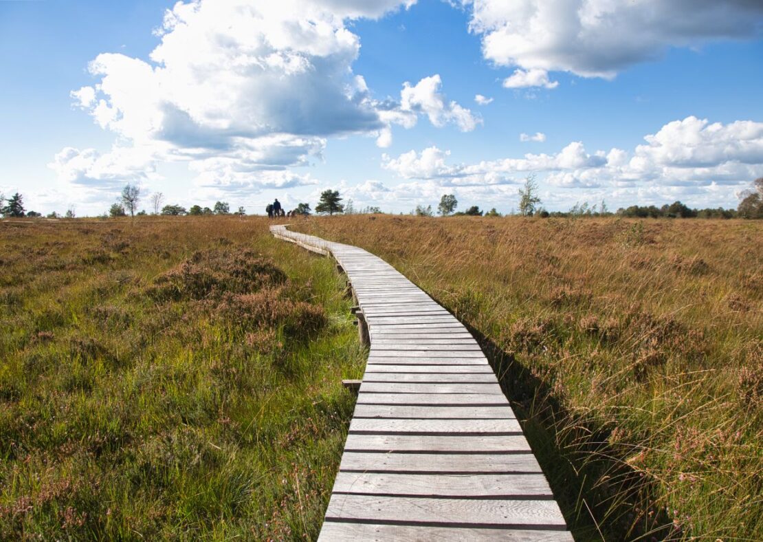 Weg in de Venen